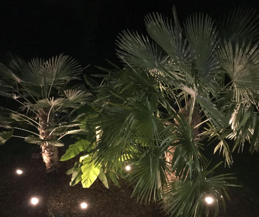 Ferienwohnung Palmengarten Lichtenstein  エクステリア 写真